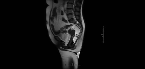 1743727833255087.jpg 微信图片_20250404084513.jpg