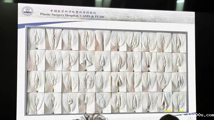 1748514385513648.jpg 微信图片_20250529182239.jpg