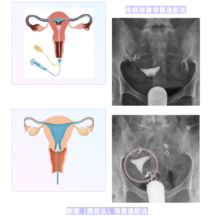 1760059243880616.png 1760059219504_副本.png