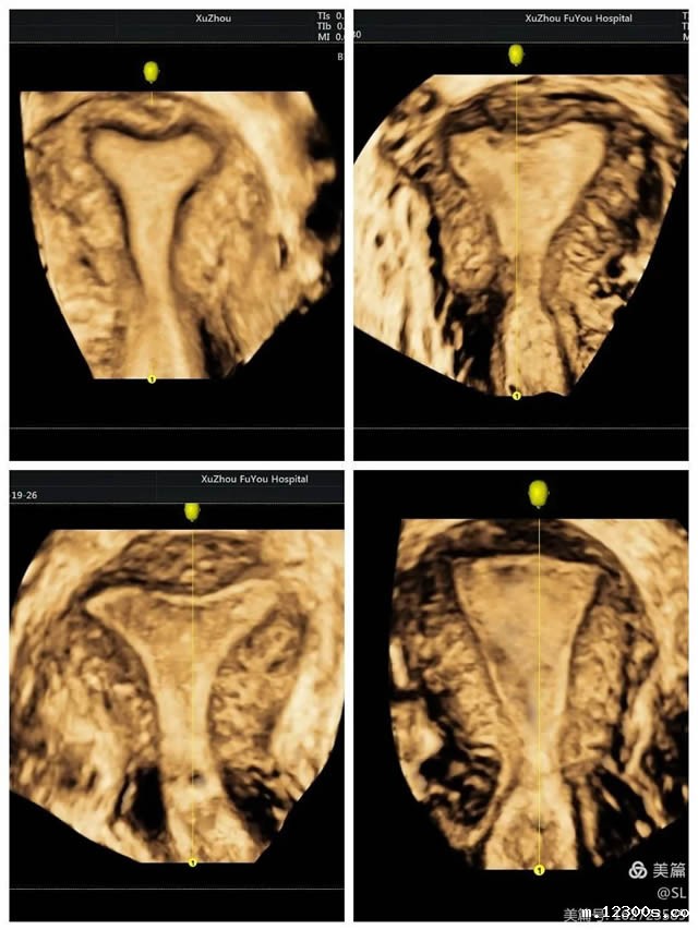 1651739609257251.jpg 微信图片_20220505162952.jpg