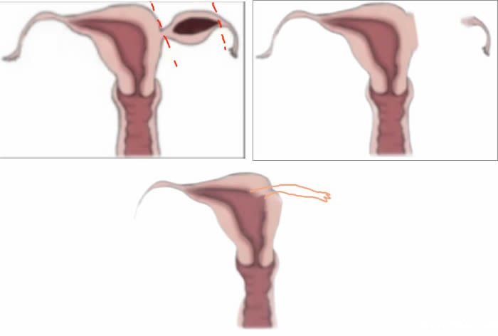 1705989434391064.jpg 640 (3).jpg