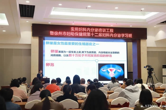 1731321683286535.jpg 微信图片_20241111183438.jpg