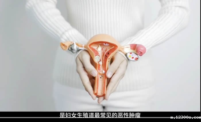 1733823605885235.jpg 微信图片_20241210173016.jpg